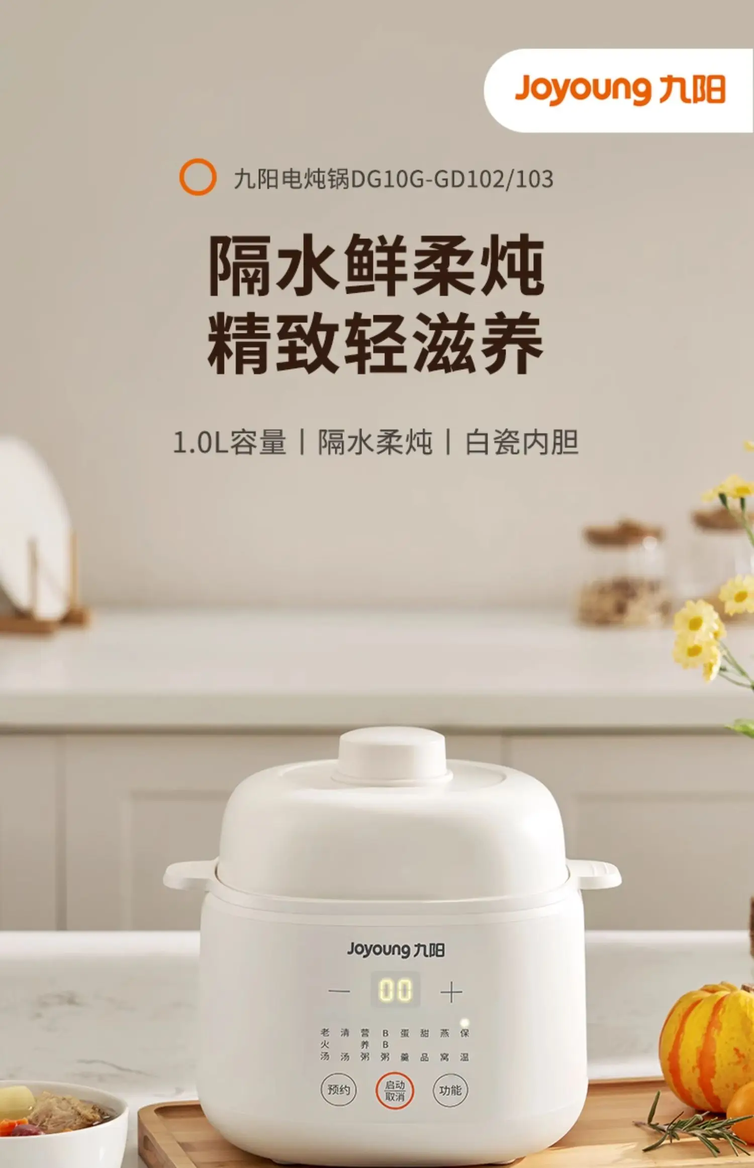 220V Electric Stewpot Ceramic  - Baby Food Steamer review and price