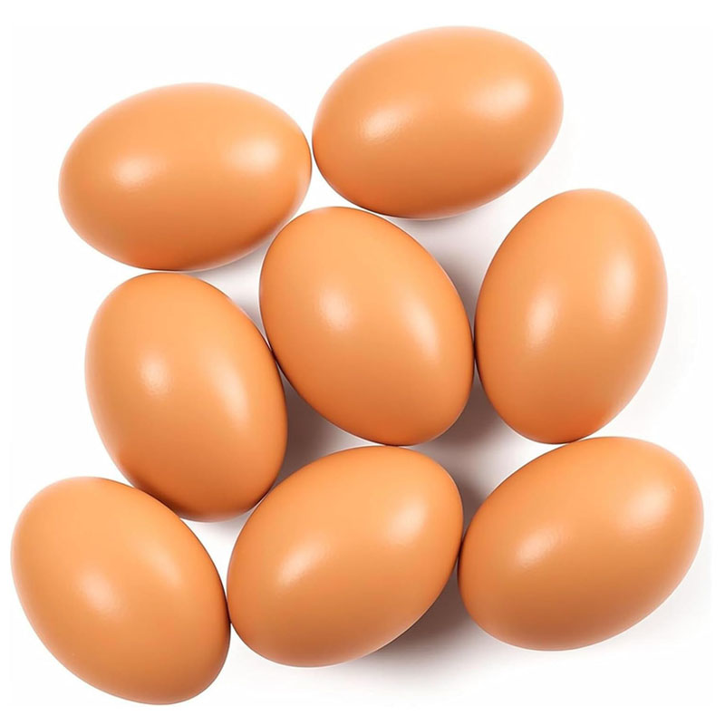 Wooden Egg for Laying Chickens - Baby Food With Chicken review and price