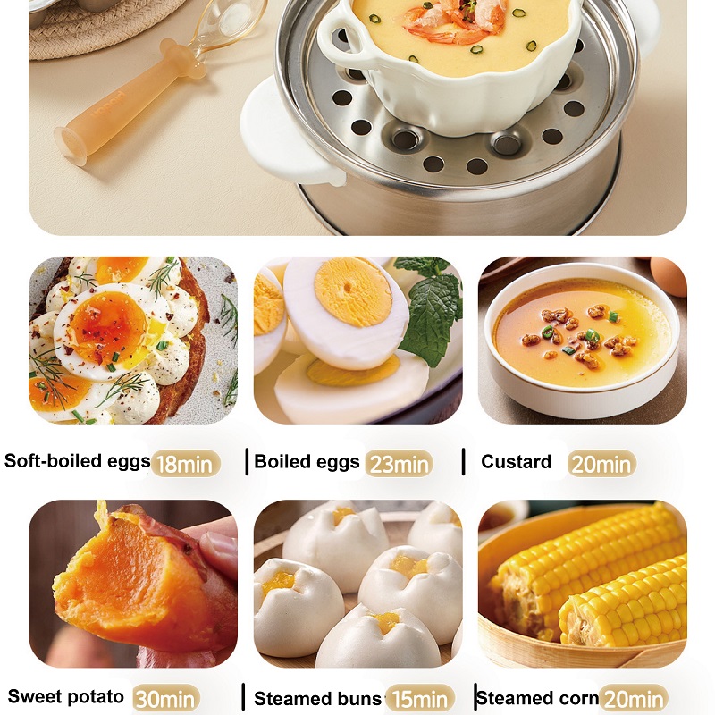 400W Multifunctional Egg Cooke - Baby Food Steamer review and price