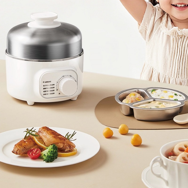 400W Multifunctional Egg Cooke - Baby Food Steamer review and price
