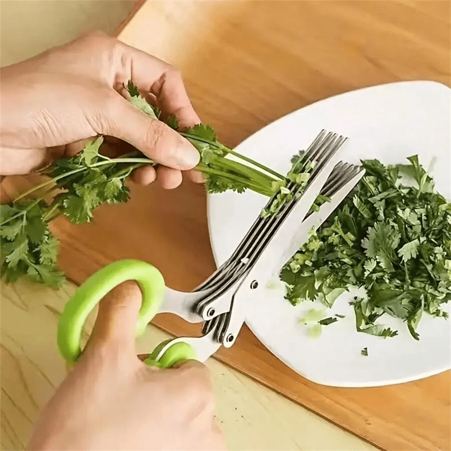 5-layer scallion chopper multi - Baby Food Scissors review and price
