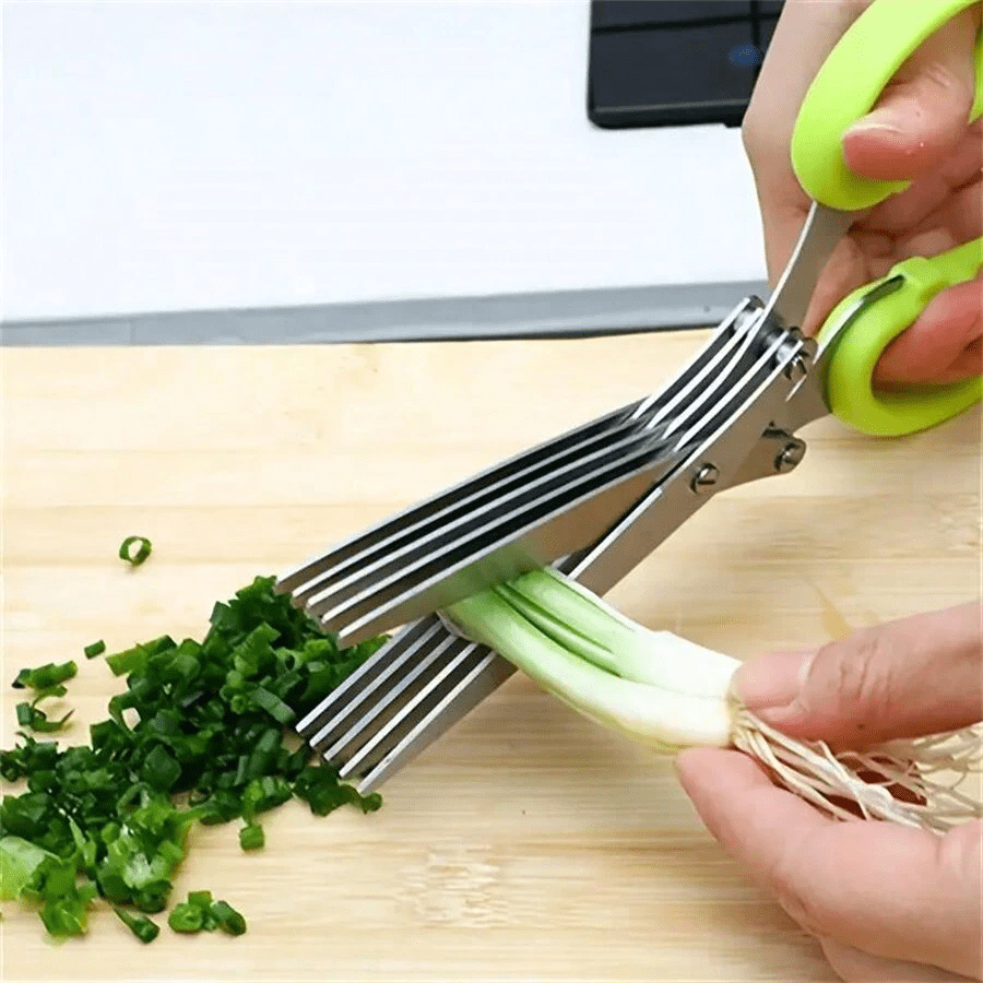 5-layer scallion chopper multi - Baby Food Scissors review and price